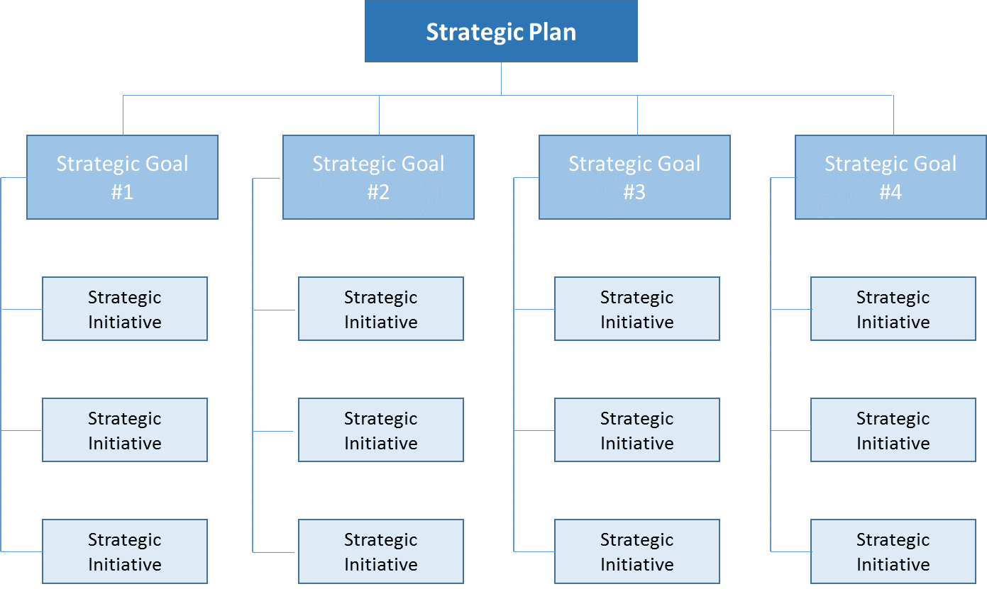 strategy program life cycle