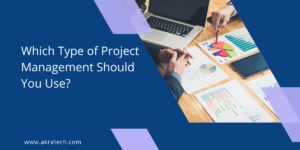 Project management types