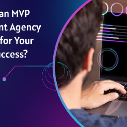 How to Choose the Best MVP Development Agency for Your Startup